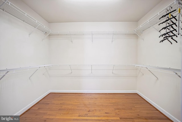 2907 Dumas St, Alexandria, VA 22306 - spacious closet with light wood finished floors