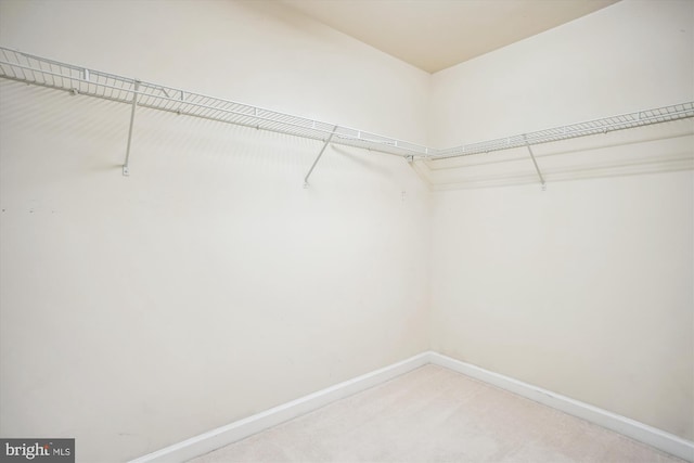 2907 Dumas St, Alexandria, VA 22306 - walk in closet featuring light carpet