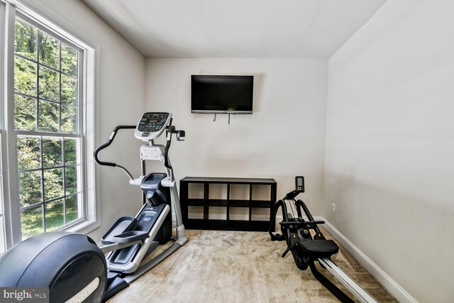 1413 Triton Ct, Edgewater, MD 21037 - workout area with plenty of natural light and carpet floors