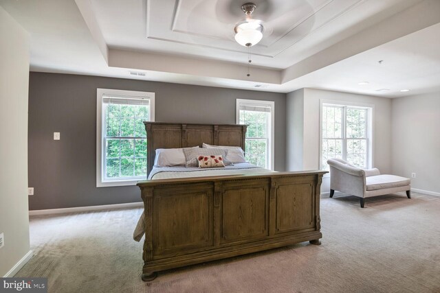 1413 Triton Ct, Edgewater, MD 21037 - bedroom featuring light carpet, a raised ceiling, and multiple windows