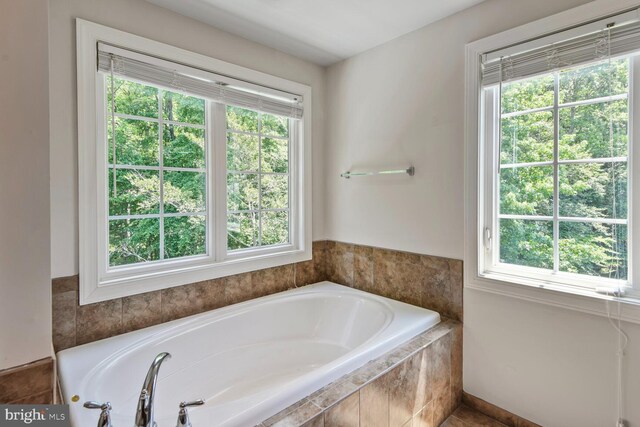 1413 Triton Ct, Edgewater, MD 21037 - full bathroom featuring a garden tub
