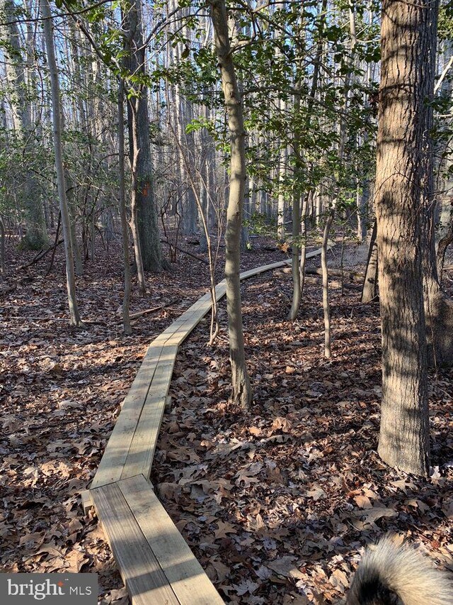 1413 Triton Ct, Edgewater, MD 21037 - view of local wilderness