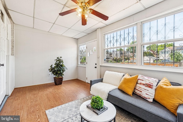 1818 Newton St NE, Washington, DC 20018 - living area featuring a drop ceiling, wood finished floors, and a ceiling fan