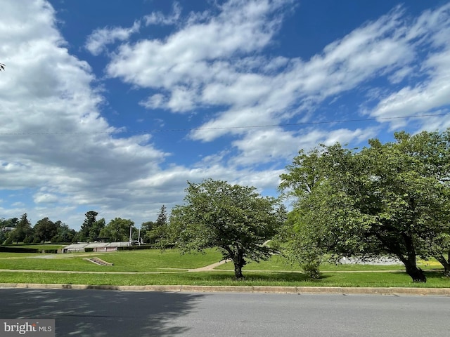 257 Jefferson St, Winchester, VA 22601 - view of asphalt street with curbs