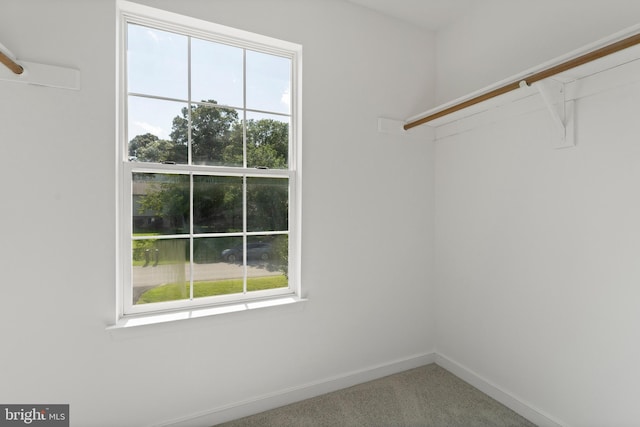 27 Brown Cir, Fredericksburg, VA 22405 - walk in closet featuring carpet flooring