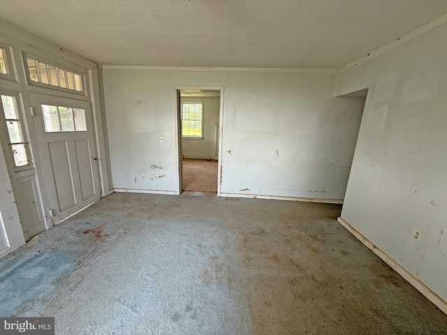 505 Battlefield Ft, Defiance, VA 24437 - carpeted empty room with crown molding