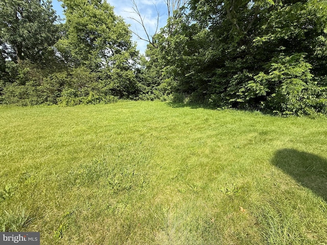 505 Battlefield Ft, Defiance, VA 24437 - view of grassy yard