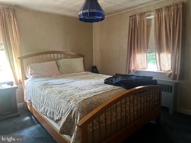 2012 E Main St, Douglassville, PA 19518 - bedroom with carpet flooring and radiator heating unit
