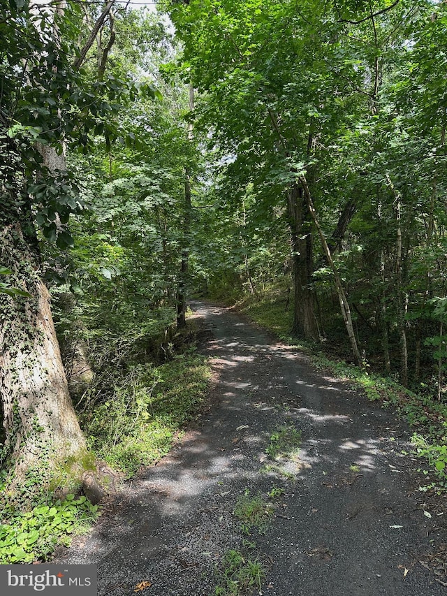 769 S Water St, Woodstock, VA 22664 - view of road with a forest view