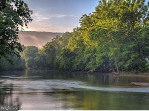 769 S Water St, Woodstock, VA 22664 - water view with a heavily wooded area