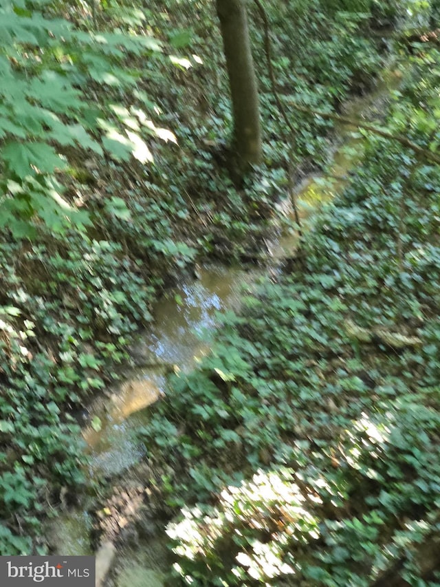769 S Water St, Woodstock, VA 22664 - view of local wilderness