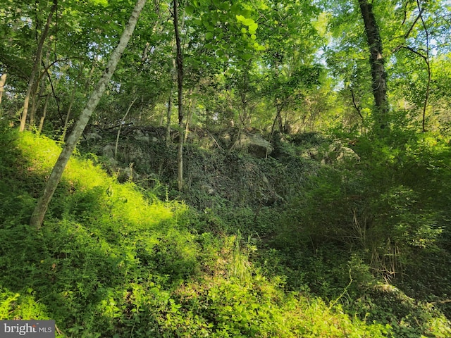 769 S Water St, Woodstock, VA 22664 - view of wooded area