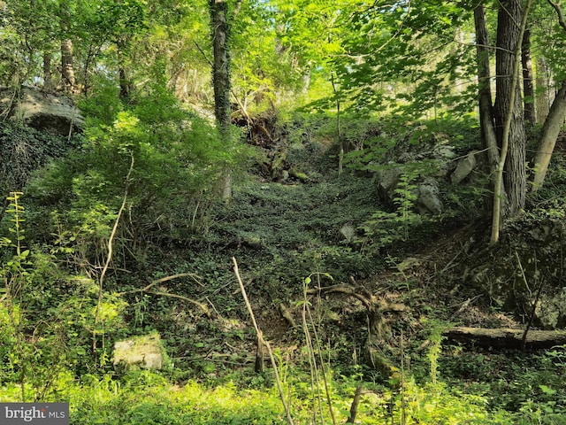 769 S Water St, Woodstock, VA 22664 - view of local wilderness