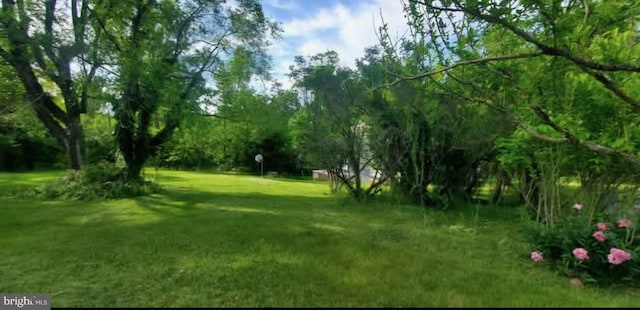 769 S Water St, Woodstock, VA 22664 - view of green lawn