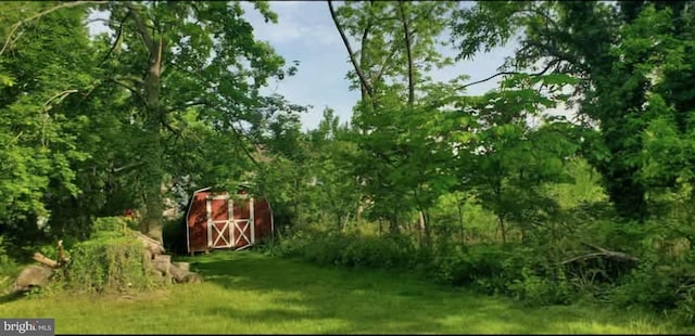 769 S Water St, Woodstock, VA 22664 - view of yard with a storage shed and a wooded view