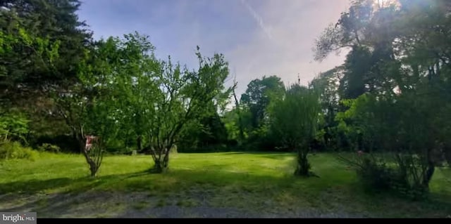769 S Water St, Woodstock, VA 22664 - view of undeveloped land
