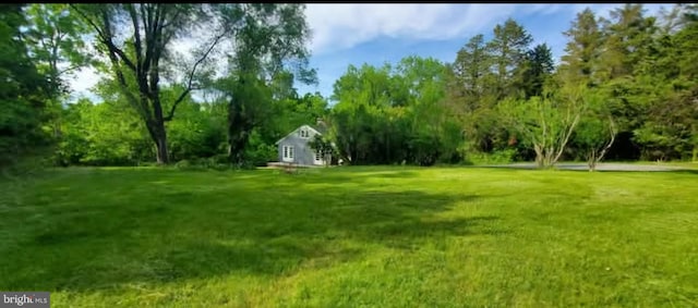 769 S Water St, Woodstock, VA 22664 - view of green lawn