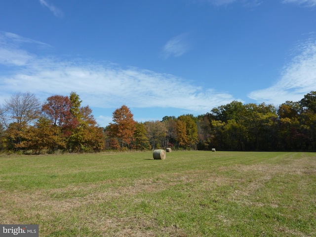 35 Barbertown Point Breeze Rd, Frenchtown, NJ 08825 - view of grassy yard featuring a wooded view