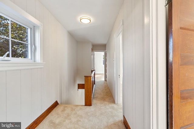 313 W 5th Ave, Conshohocken, PA 19428 - corridor with carpet flooring, an upstairs landing, and a decorative wall