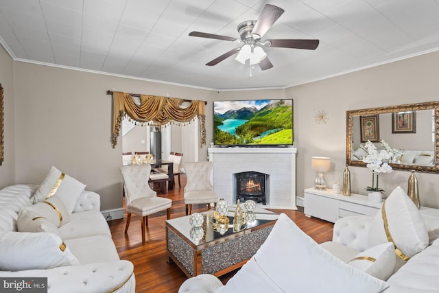 1511 Palm St, Reading, PA 19604 - living room with crown molding, wood finished floors, ceiling fan, and a fireplace with flush hearth