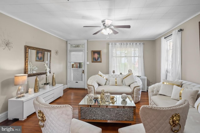 1511 Palm St, Reading, PA 19604 - living room with wood finished floors, a ceiling fan, and crown molding