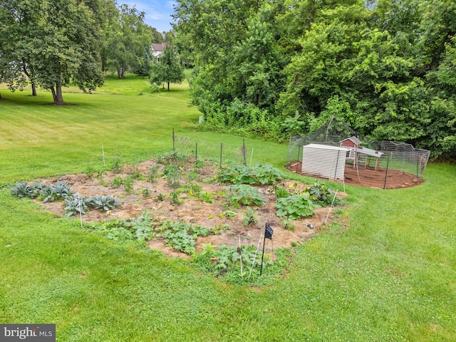 14057 Broadview Ln, Culpeper, VA 22701 - view of grassy yard with a vegetable garden, an outdoor structure, and exterior structure