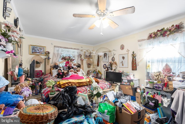 5955 Plumwood Ln, Woodbridge, VA 22193 - bedroom featuring multiple windows, ornamental molding, and ceiling fan