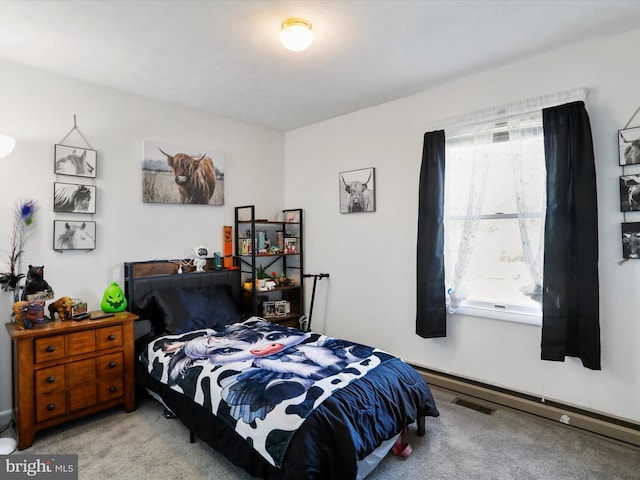 674 Harrison Ave, Berkeley Springs, WV 25411 - bedroom featuring carpet flooring