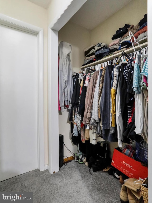 674 Harrison Ave, Berkeley Springs, WV 25411 - walk in closet featuring carpet
