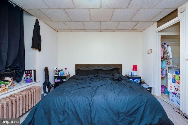 1407 Hill Rd, Reading, PA 19602 - bedroom with radiator heating unit and carpet