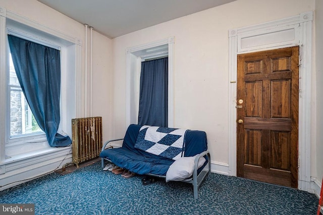 1407 Hill Rd, Reading, PA 19602 - sitting room with radiator