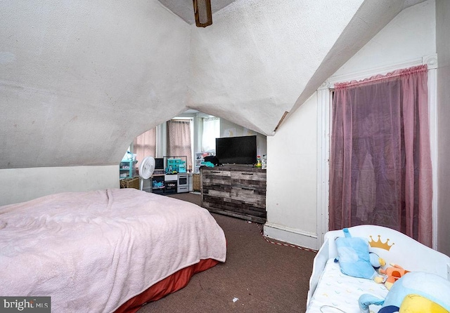 1407 Hill Rd, Reading, PA 19602 - bedroom with vaulted ceiling, carpet floors, and a textured ceiling