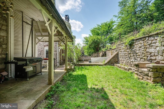 1407 Hill Rd, Reading, PA 19602 - view of yard