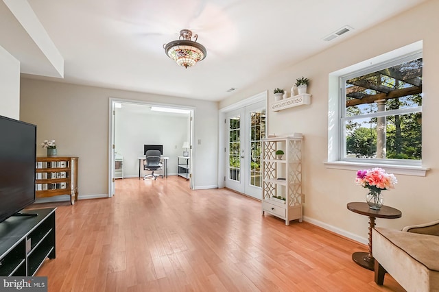 4119 Waterview Dr, Edgewater, MD 21037 - entryway with french doors, plenty of natural light, and light wood-style floors