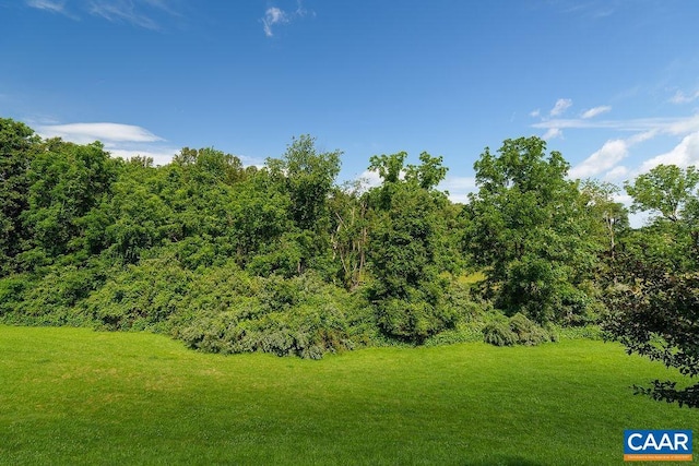 3525 Rocks Mill Ln, Charlottesville, VA 22903 - view of grassy yard with a forest view