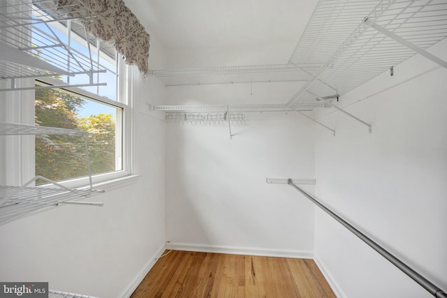 510 Revere Ct, Hockessin, DE 19707 - spacious closet featuring light wood-type flooring