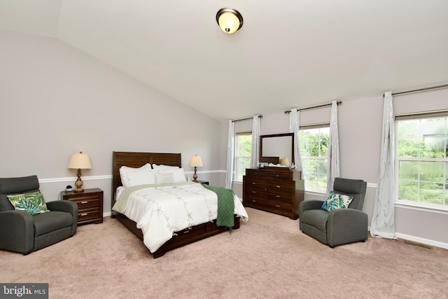 14813 Blackburn Rd, Burtonsville, MD 20866 - bedroom featuring lofted ceiling, carpet flooring, and multiple windows
