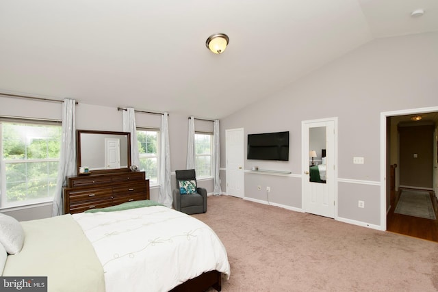 14813 Blackburn Rd, Burtonsville, MD 20866 - bedroom with carpet and high vaulted ceiling