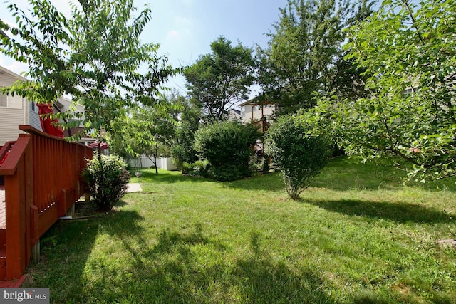 14813 Blackburn Rd, Burtonsville, MD 20866 - view of yard
