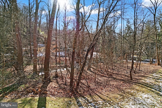 225 Playwicki St Lot C, Langhorne, PA 19047