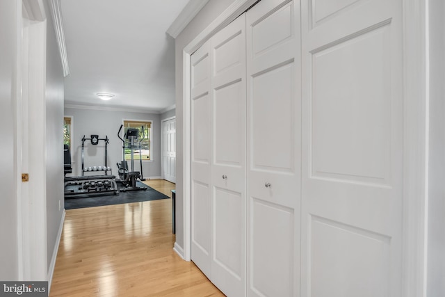 220 Longview Blvd, Gettysburg, PA 17325 - hall with ornamental molding and light wood finished floors