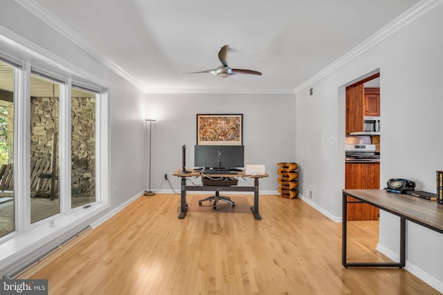 220 Longview Blvd, Gettysburg, PA 17325 - office area with a ceiling fan, light wood-type flooring, and crown molding