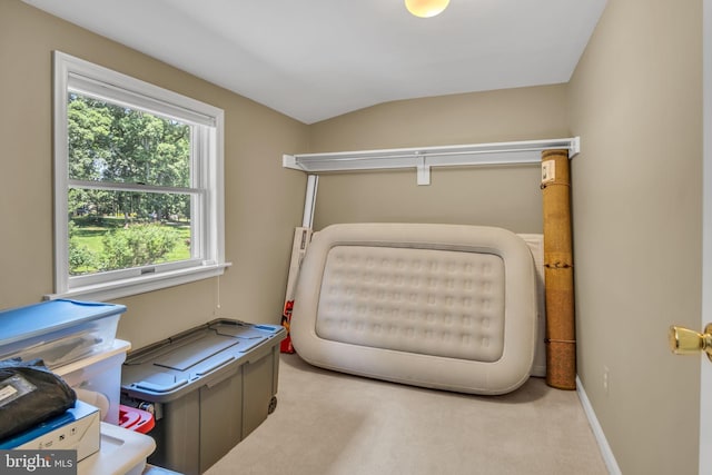 220 Longview Blvd, Gettysburg, PA 17325 - interior space featuring carpet and lofted ceiling
