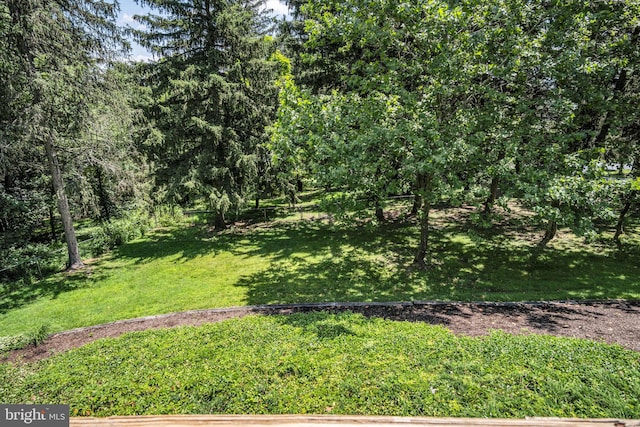 220 Longview Blvd, Gettysburg, PA 17325 - view of green lawn