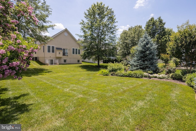 6037 Calumet Ct, Gainesville, VA 20155 - view of grassy yard