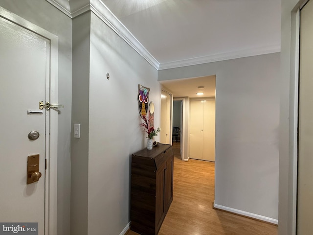 9711 Kings Crown Ct Unit 101, Fairfax, VA 22031 - hallway with light wood-style flooring and crown molding