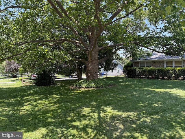 8910 Wilton Ave, Ellicott City, MD 21043 - view of yard