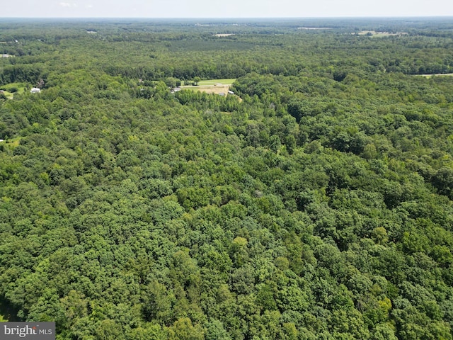 18295 Mountain Rd, Montpelier, VA 23192