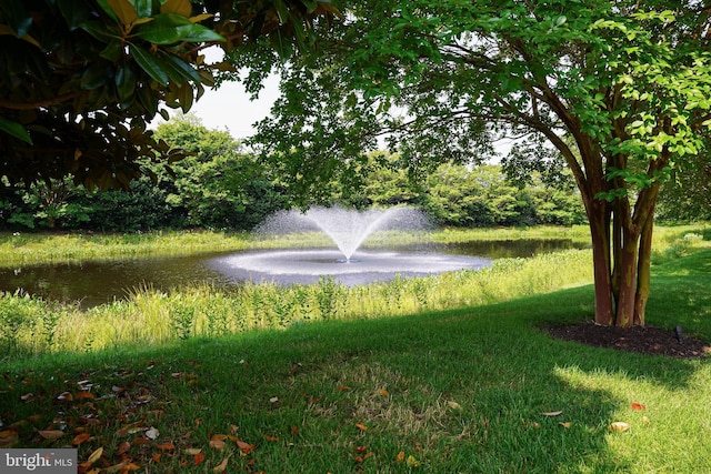 38337 N Mill Ln Unit 116, Ocean View, DE 19970 - view of yard featuring a water view
