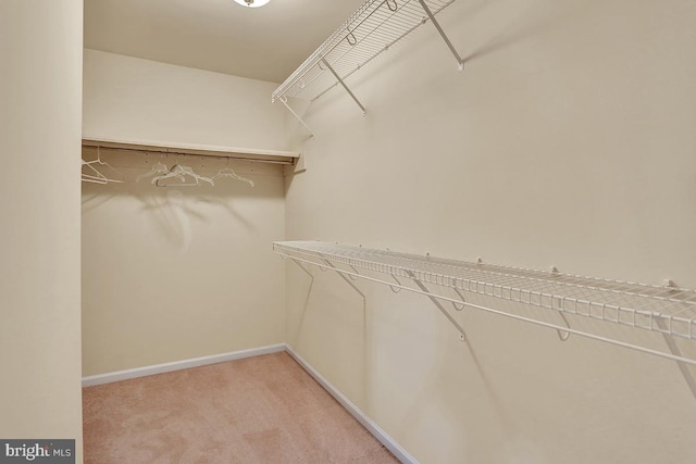 404 Herington Dr, Reading, PA 19608 - spacious closet featuring carpet